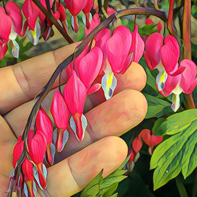 j matthew waters flower picture