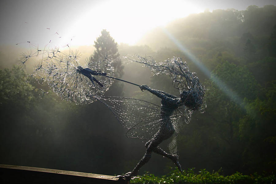 fairies @Owlsclough ‏